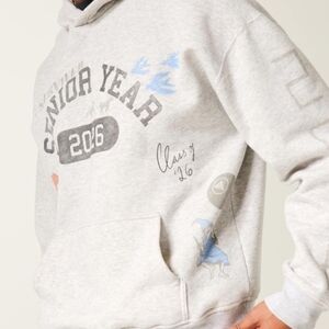 Hollister Gray Senior Year Graphic Hoodie